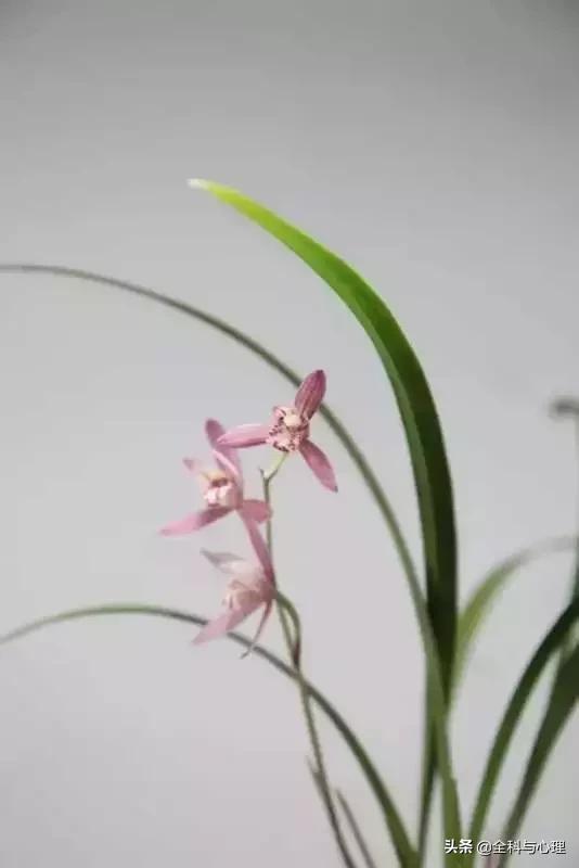 难过时怎么安慰自己,难过的时候怎么安慰自己