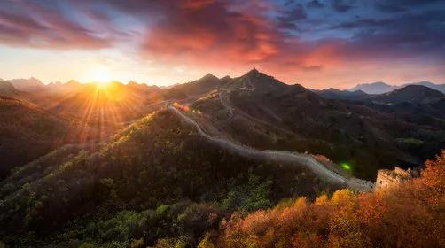 坝上秋色之金色草原,坝上金色草原风景