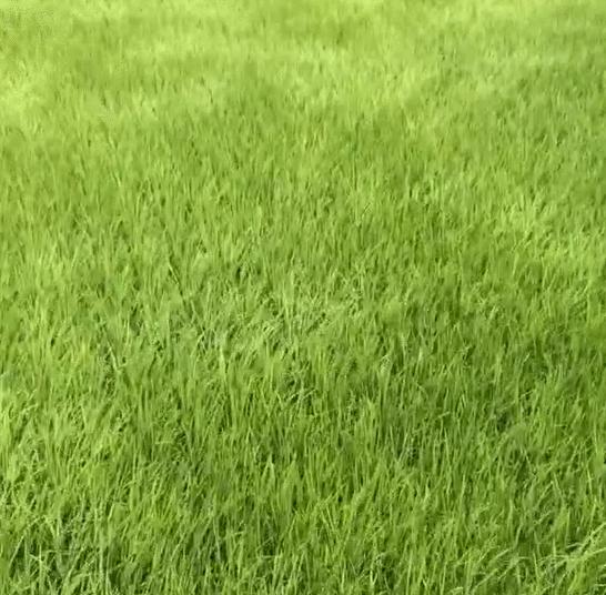 起风了拍照,起风了场景写真拍照