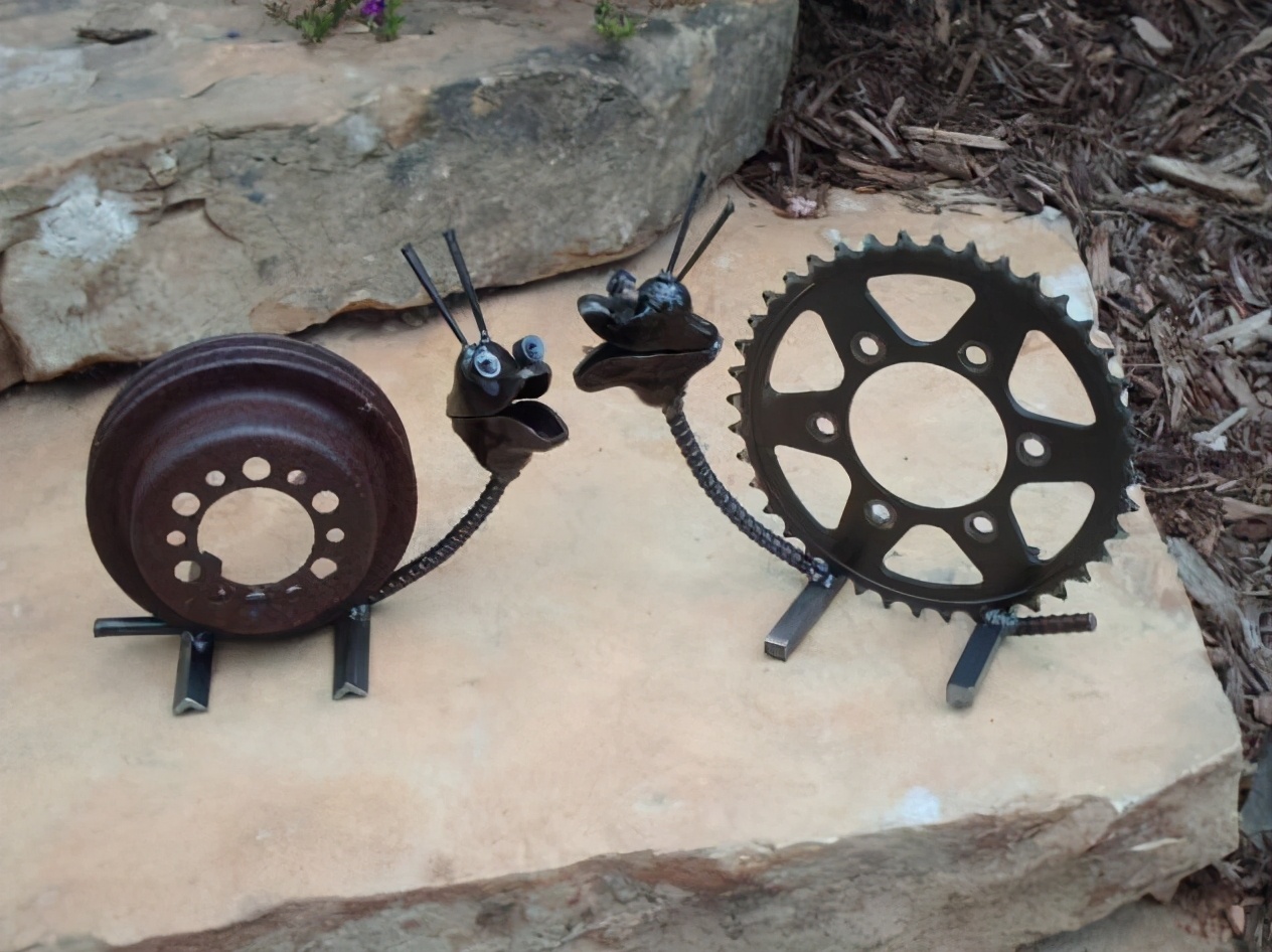 各种各样的蜗牛简单的,各种各样的蜗牛视频