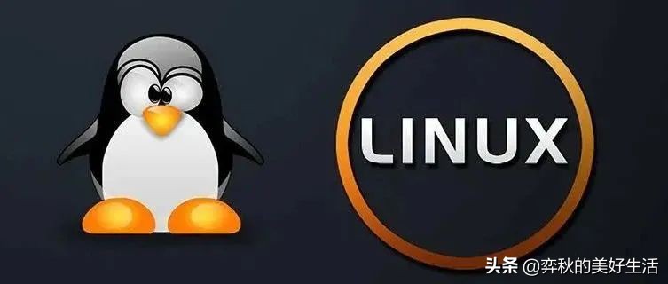 linux中拷贝命令详解,克隆linux系统命令