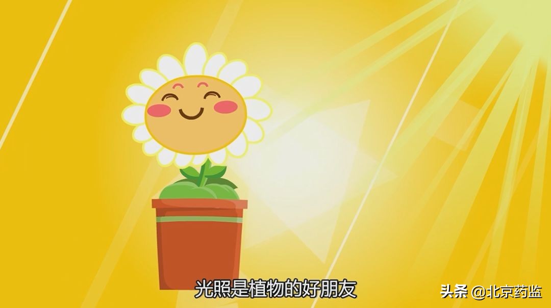 没保存好的药还能吃吗,用药有哪些误区