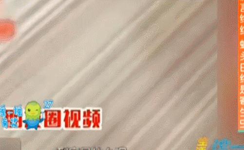 朋友圈十大谣言,千万别被谣言给骗了