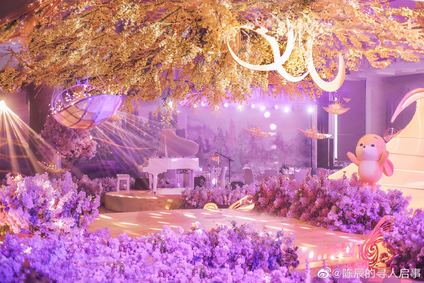 上海电视台主持人陈辰晴,上海smg女主持人陈辰