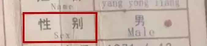 被这个翻译气笑了！但更扯的是它背后的组织……