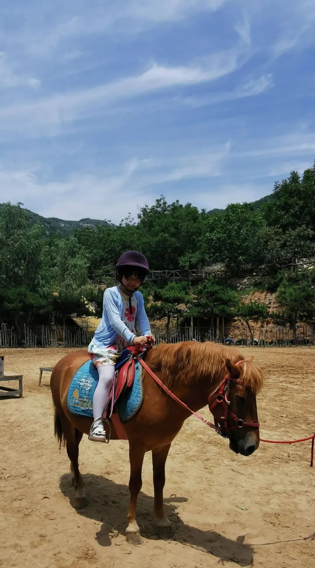 济南适合遛娃的免费去处,济南冬季遛娃免费攻略