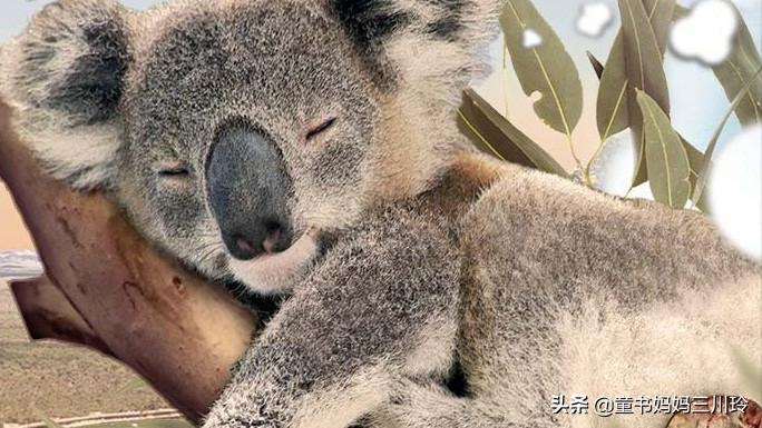 微笑围观美国网课:放过彼此,欢乐玩去吧,学习什么的都是浮云