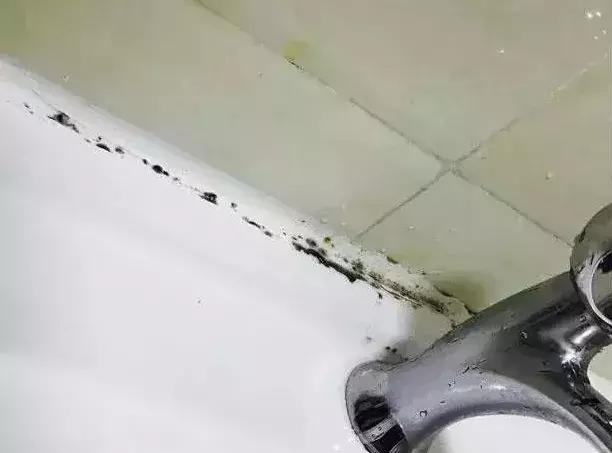 发霉的霉菌对人体有害吗,发霉的霉菌是怎么产生的