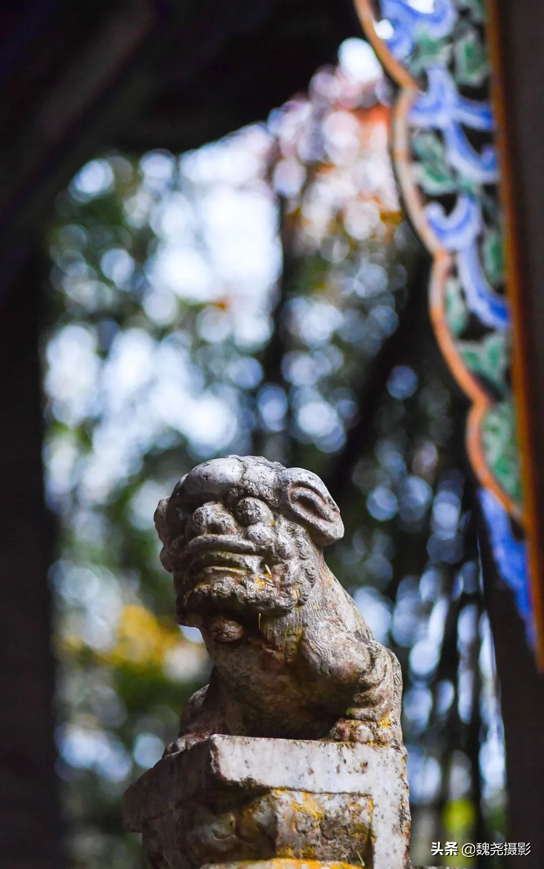 留坝秦岭之夜,留坝秦岭森林公园