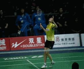 金秋诗画（学羽精华33.发力技巧）