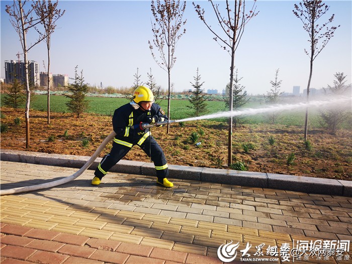 肃宁消防大队对外招聘,新泰市消防救援大队招聘