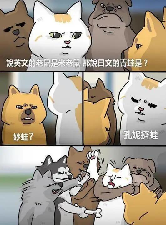 斗图10大万恶之源梗,斗图什么梗