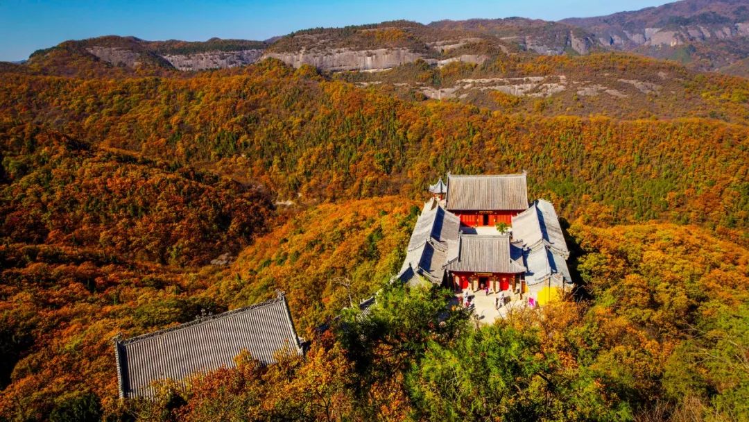 2021秦岭鸡窝子分水岭红叶,秦岭红叶最佳自驾线