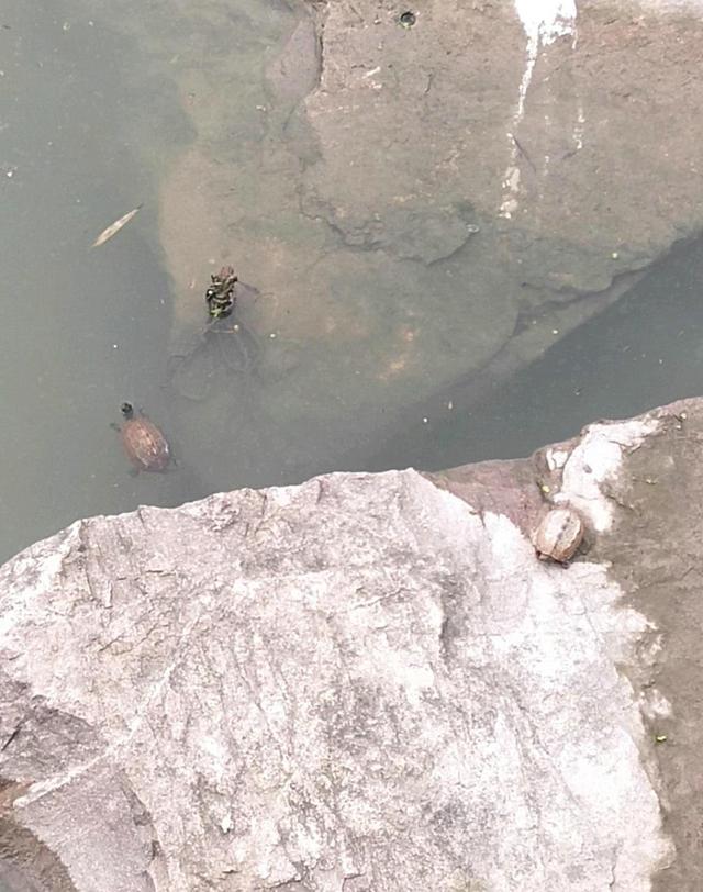 台州钓鱼扔垃圾,浙江台州市钓鱼