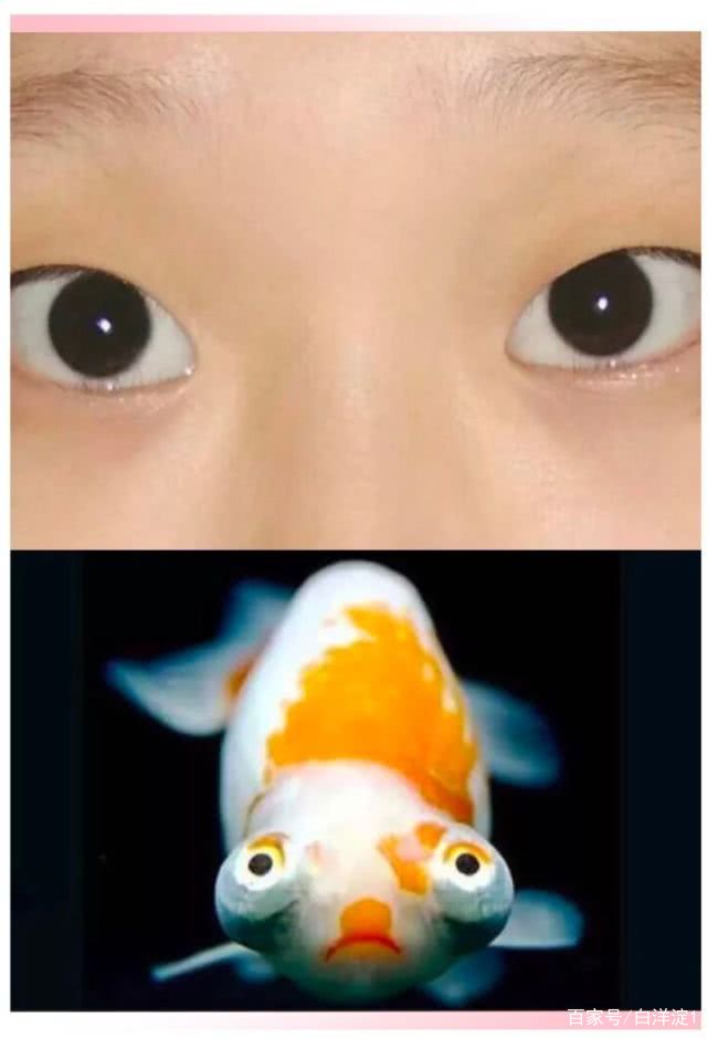 名门泽佳的正确涂法,名门泽佳祛皱小细节