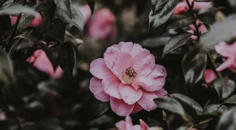 当友情遇到危机，如何理智解决呢？