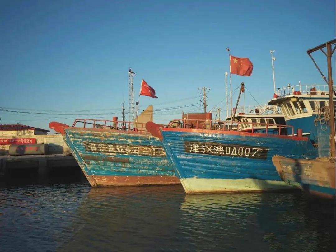 一个不出郑州的踏青好去处,天津春游公园推荐