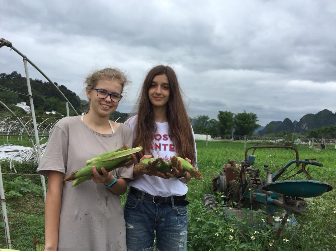 华德福简介,华德福故事