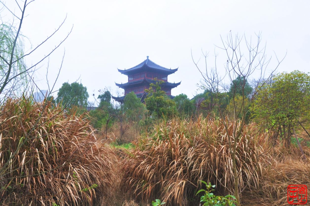 浙江母亲河钱塘江,浙江台州春风