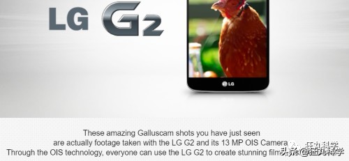 鸡头放摄像头视频,鸡头上装摄像机