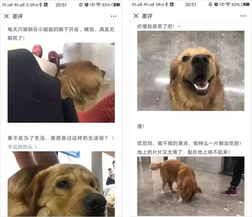 抖音爆火沙雕网红,抖音沙雕段子网红