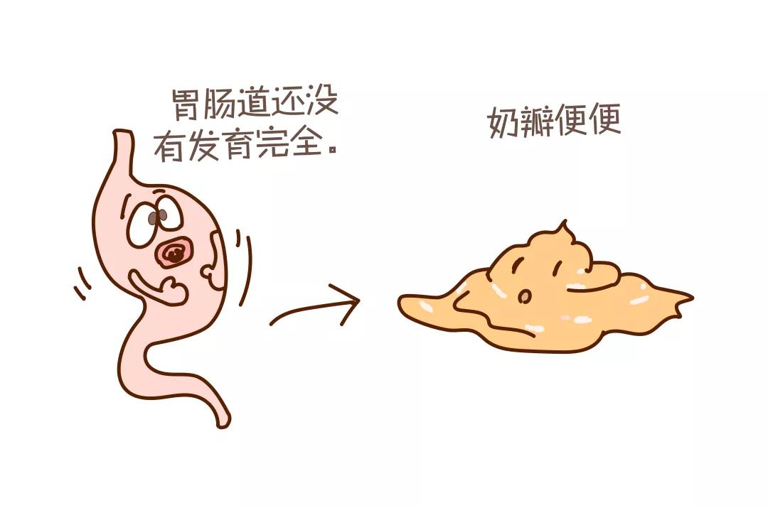 宝宝便便形状代表各种情况,宝宝便便颜色代表各种情况