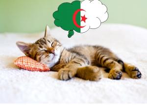 阿尔及利亚的“改朝换代”