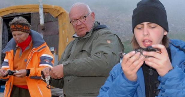 堪比生化武器的罐头,爱斯基摩人吃腌海雀片段