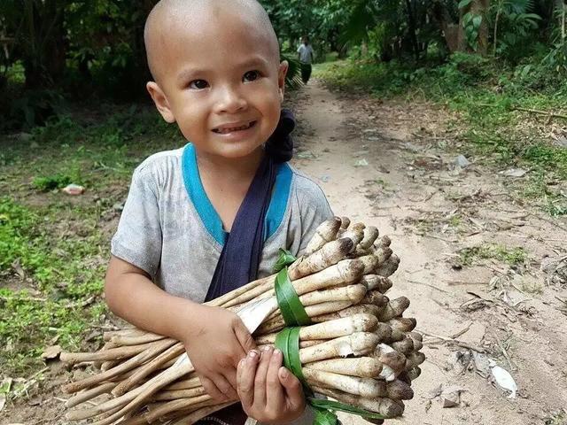 缅甸帝王绿翡翠手镯价格及图片,缅甸翡翠是帝王绿好还是阳绿好