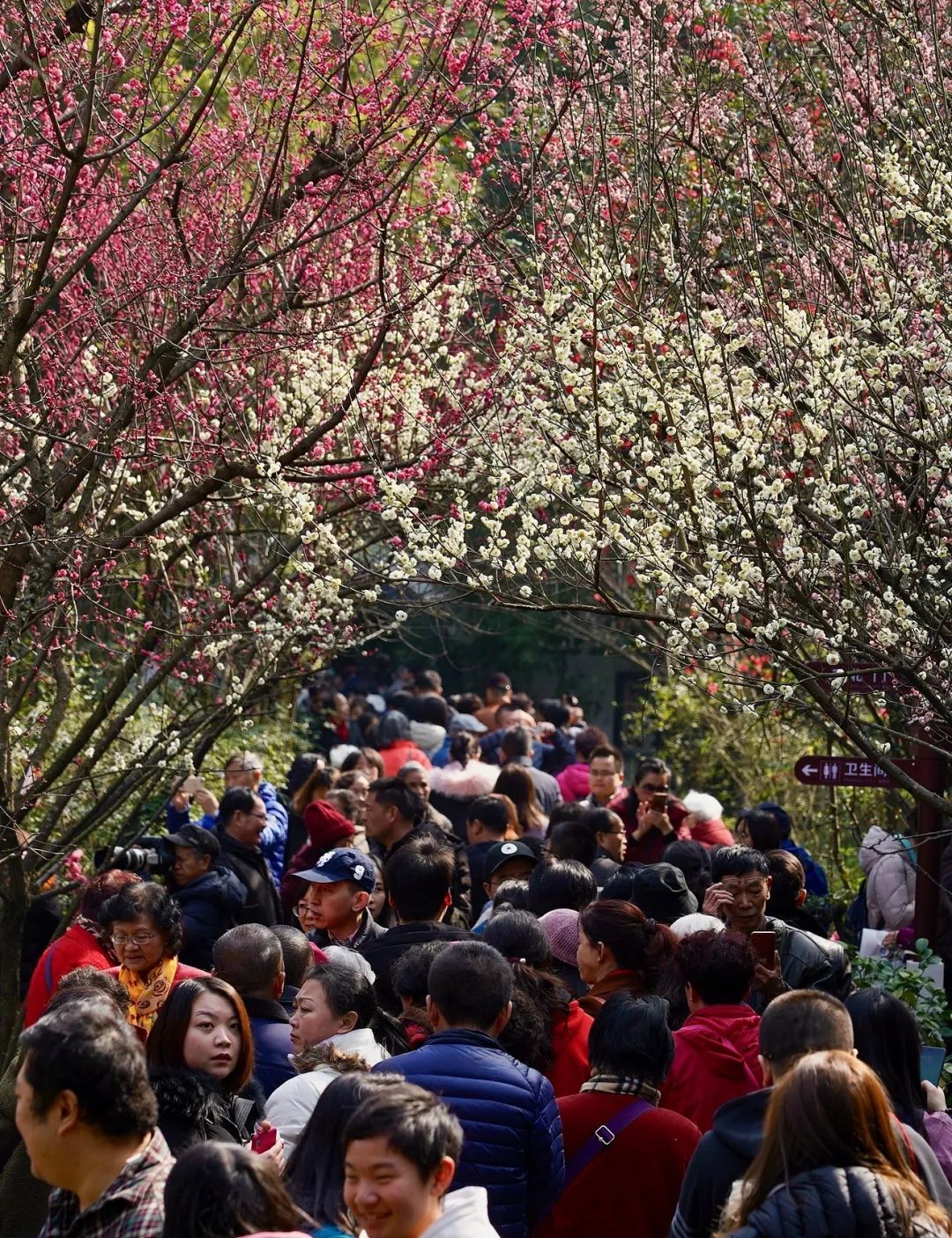 陆游春节的诗,陆游写的关于成都的诗