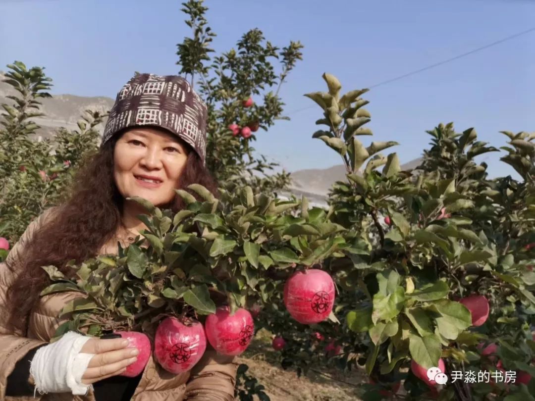 种苹果籽的人,种李子的人