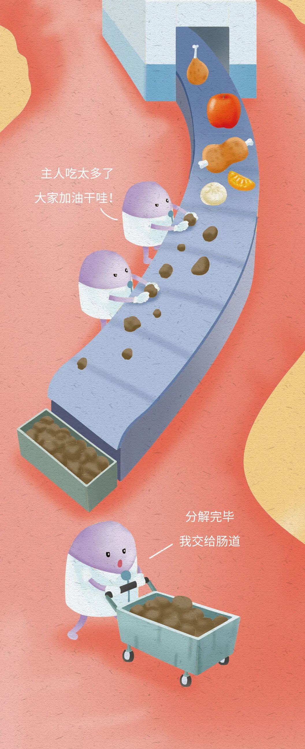 抑菌产品有哪些,长期使用抑菌产品的危害