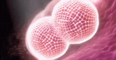 收藏科普知识,避孕药各种介绍