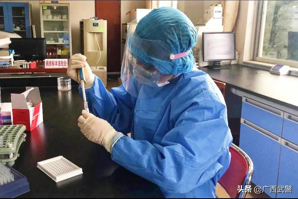 义无反顾歌曲,义无反顾