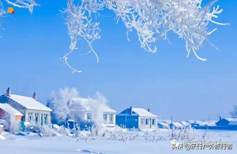 冬天漠河白桦林童话世界完整视频,冰雪大世界长白山雪乡六天五晚