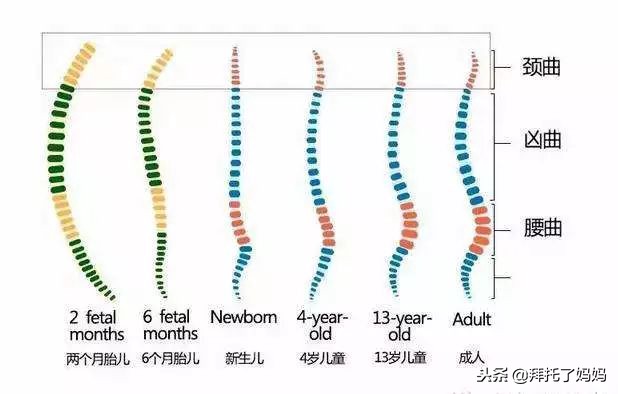 宝宝偏头睡觉怎么纠正最有效,一岁宝宝偏头睡觉如何矫正