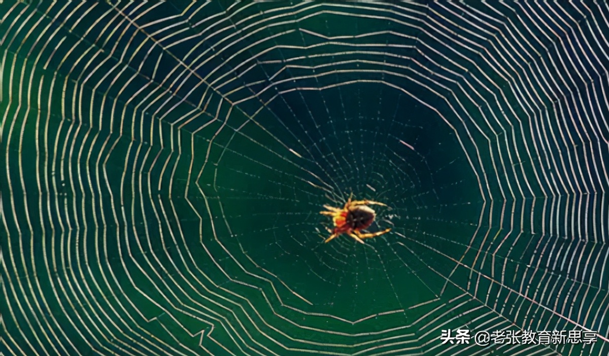 你想要什么就会被什么所牵绊,你想要什么你就会注意到什么