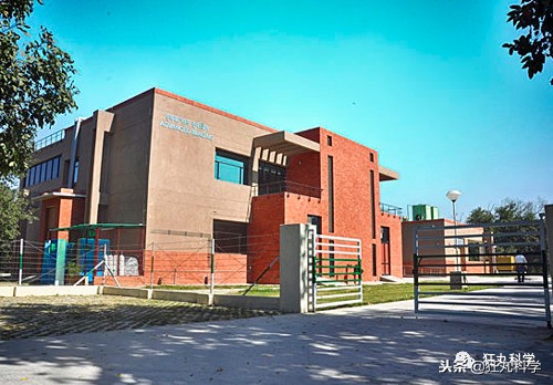 盘点乐高做的大神玩具,乐高100块钱可玩性很高的玩具