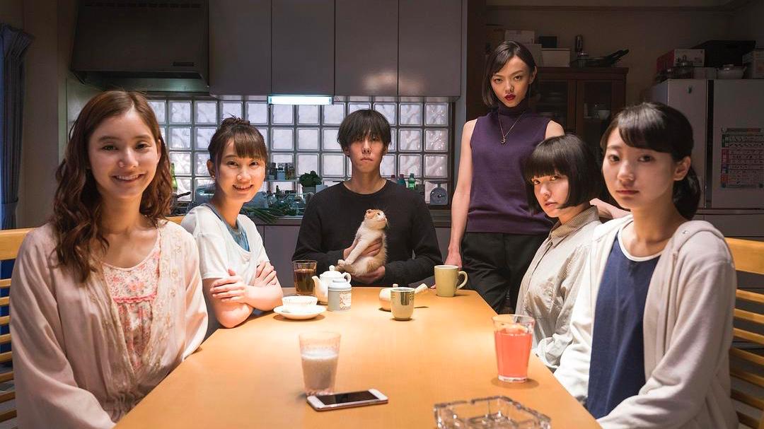 那个孤独的美食家，改行做了猫界家政妇。