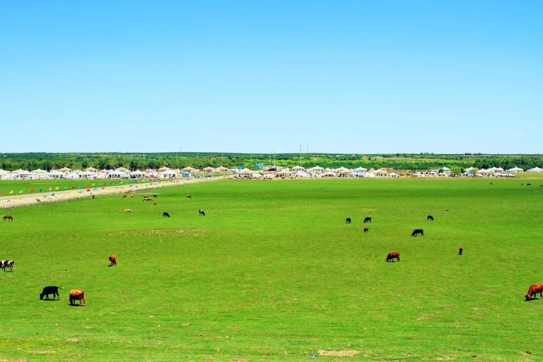 内蒙除了草原还有啥,推荐内蒙古的呼伦贝尔大草原