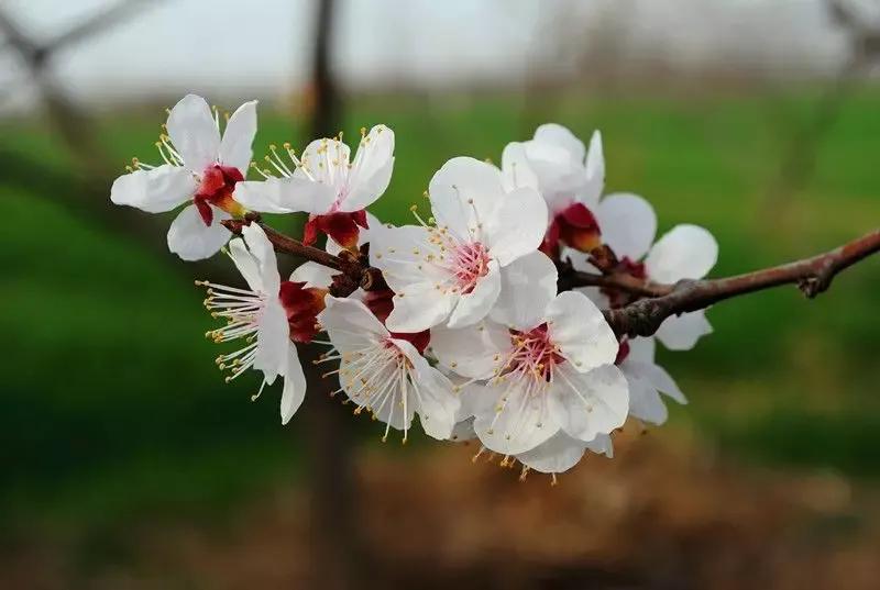 道德经中的致虚极守静,道德经致虚守静的境界