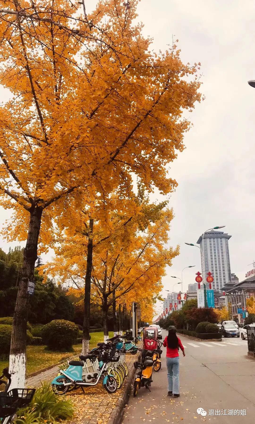 旅居，独自、两人还是群居？水深到足以把游泳健将淹死​