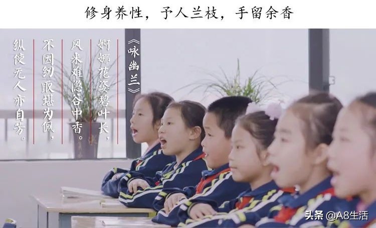 中国兰花名品录,春兰兰花名品大全