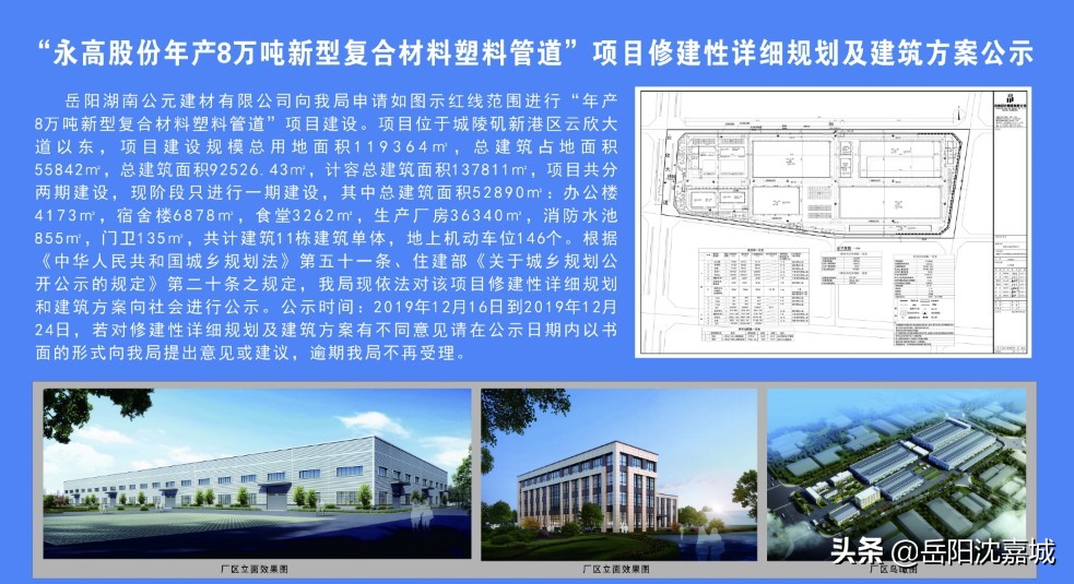 城陵矶新港区高新技术产业园,城陵矶新港区的公司