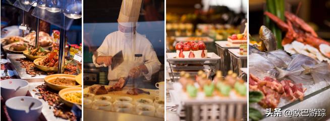 南京金陵城全景,南京金陵酒店新楼有多少米高