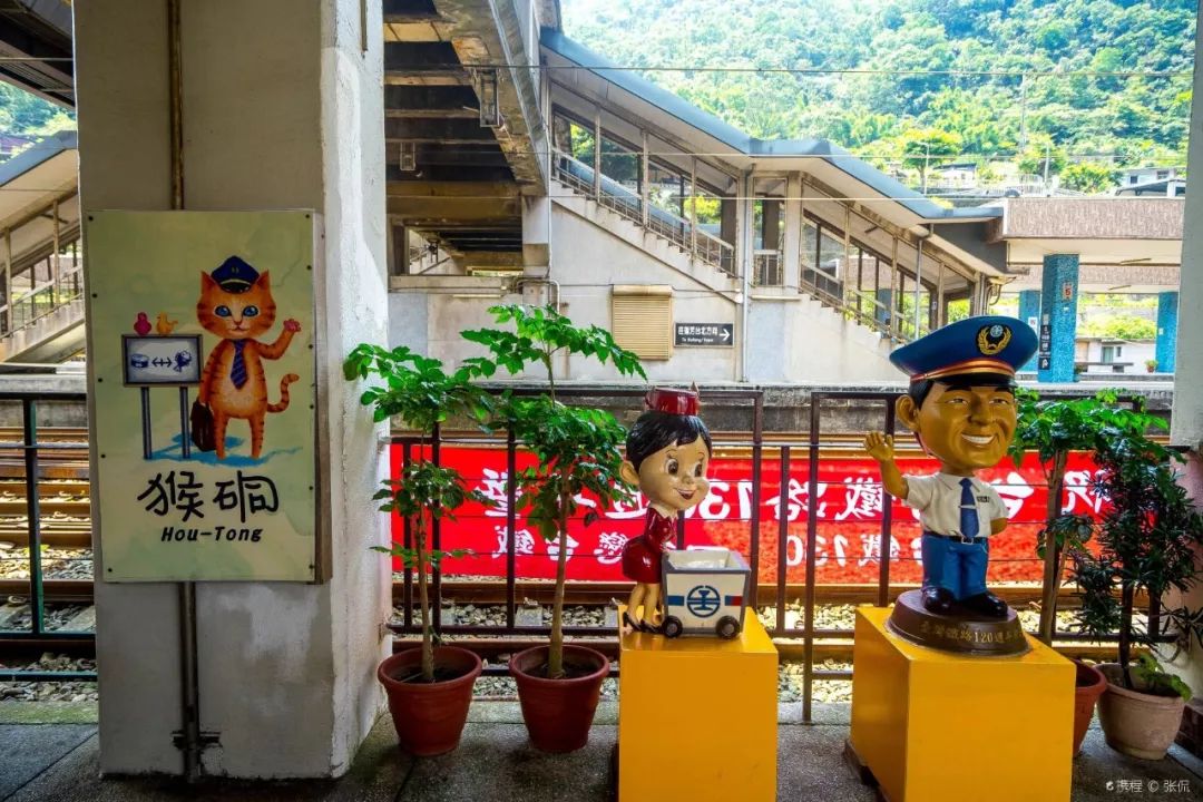 告别流浪猫展览再现12个吸猫圣地,最治愈的吸猫胜地