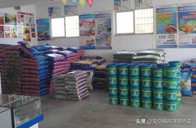 一袋50斤玉米种有多少利润,卖玉米种60袋一袋挣多少钱