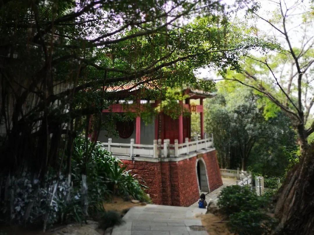 讲真，我嫉妒顺德人