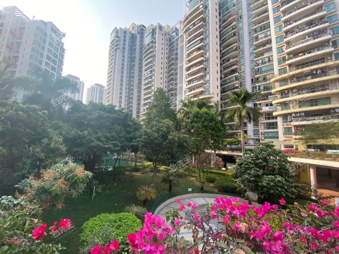 八大录取率名列前茅的二梯队石厦学校,学区房500万起