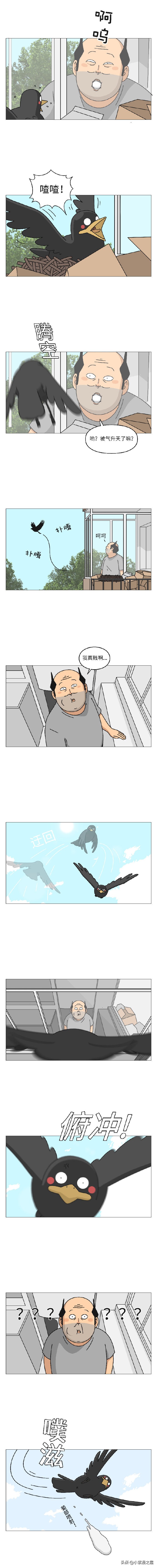 被一只鸟记仇是什么体验？（漫画）